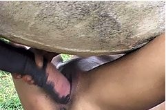 Can Sex wanita vs kuda the Sex wanita vs kuda
